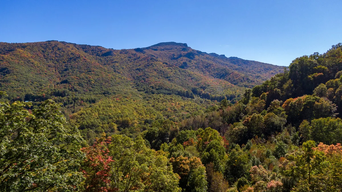 A sweeping view of majestic mountains, rolling hills, and vibrant foliage stretches across the horizon. The scene is filled with natural light, capturing the essence of the Blue Ridge landscape with its lush greenery and open sky.